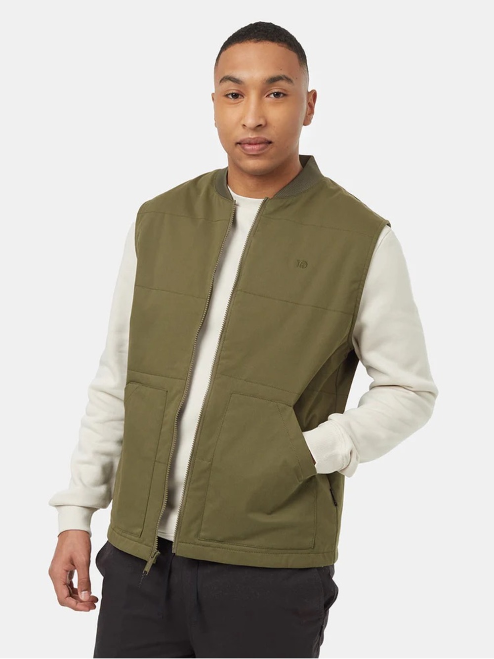 Tentree Men's light insulated vest